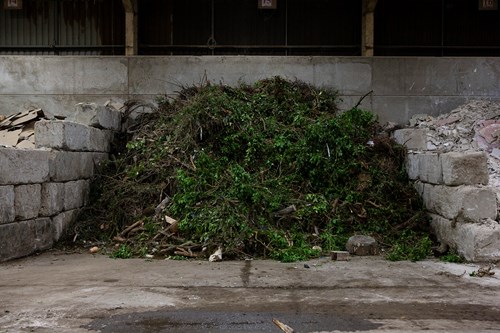 Skip Hire Dymchurch | Recycling | Waste